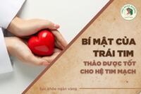 <a href="/kien-thuc-ngay-nay" title="Kiến thức ngày nay" rel="dofollow">Kiến thức ngày nay</a>