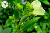<a href="/kien-thuc-moi-ngay" title="Kiến thức mỗi ngày" rel="dofollow">Kiến thức mỗi ngày</a>
