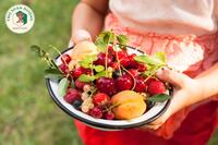 <a href="/kien-thuc-moi-ngay" title="Kiến thức mỗi ngày" rel="dofollow">Kiến thức mỗi ngày</a>