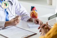 <a href="/benh-pho-bien/tim-mach" title="Tim mạch" rel="dofollow">Tim mạch</a>