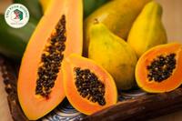 <a href="/kien-thuc-moi-ngay" title="Kiến thức mỗi ngày" rel="dofollow">Kiến thức mỗi ngày</a>