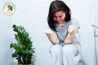 <a href="/benh-pho-bien" title="Bệnh phổ biến" rel="dofollow">Bệnh phổ biến</a>