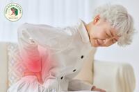 <a href="/benh-pho-bien/xuong-khop" title="Cơ xương khớp" rel="dofollow">Cơ xương khớp</a>