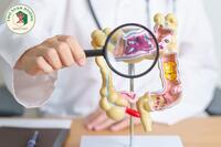 <a href="/benh-pho-bien/benh-tieu-hoa" title="Tiêu hóa" rel="dofollow">Tiêu hóa</a>