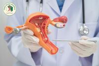 <a href="/benh-pho-bien/san-phu-khoa" title="Sản phụ khoa" rel="dofollow">Sản phụ khoa</a>