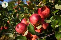 <a href="/kien-thuc-ngay-nay/dinh-duong" title="Dinh dưỡng" rel="dofollow">Dinh dưỡng</a>