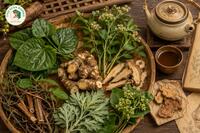 <a href="/kho-bau-duoc-lieu" title="Kho báu dược liệu" rel="dofollow">Kho báu dược liệu</a>
