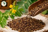 <a href="/kho-bau-duoc-lieu" title="Kho báu dược liệu" rel="dofollow">Kho báu dược liệu</a>