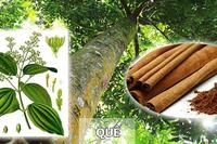 <a href="/kien-thuc-ngay-nay/khoa-hoc-tam-linh" title="Khoa học - tâm linh" rel="dofollow">Khoa học - tâm linh</a>