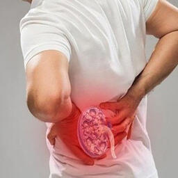 Thận tinh: Nguồn gốc của sự sống