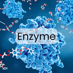 Tế bào gốc và enzyme – Tương lai phục hồi nòi giống từ gốc tế bào