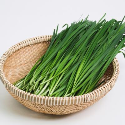 <a href="/kho-bau-duoc-lieu" title="Kho báu dược liệu" rel="dofollow">Kho báu dược liệu</a>