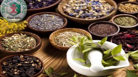 Thế mạnh của Nam Y đối với điều trị bệnh động kinh