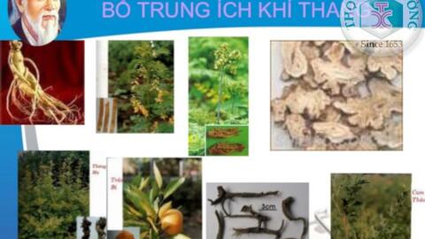 Các bài thuốc cổ phương giúp bổ khí