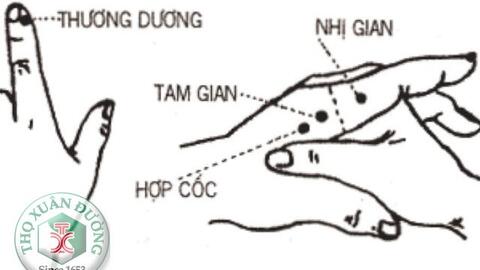 Thủ dương minh đại trường kinh