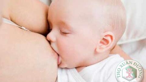 Canh móng giò có lợi sữa như các mẹ nghĩ?
