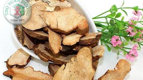 Tác dụng chữa bệnh của vị thuốc Thổ Phục Linh