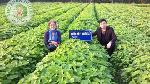 SKCĐ-Thuốc tại vườn, thầy tại nhà – Điểm sáng của Nam y Việt Nam – truyền nhân đời thứ 16 của gia tộc họ Phùng