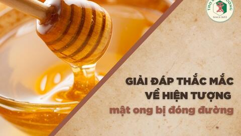 Giải đáp thắc mắc về hiện tượng mật ong bị đóng đường