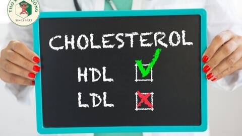 Mọi thứ bạn cần biết về cholesterol cao
