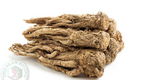 Truyền thuyết về vị thuốc Đương quy