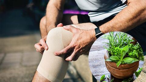 Những bài thuốc dân gian chữa đau nhức khớp gối đơn giản hiệu quả