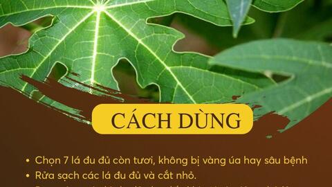 Điểm danh những cây thuốc nam chữa bệnh ung thư dạ dày