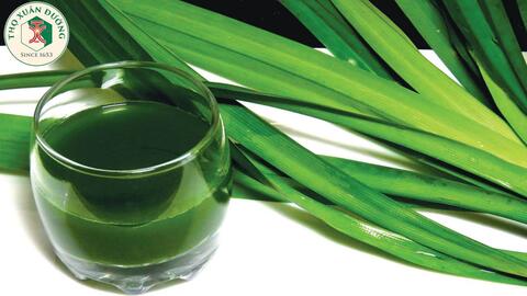 Cây lá dứa với những tác dụng tuyệt vời cho sức khỏe