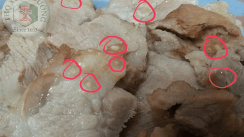Phòng bệnh sán dây lợn như thế nào?