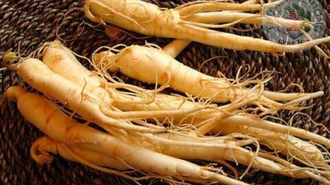 Sinh mạch tán – Phương thang cho chứng tiêu khát giai đoạn khởi phát 