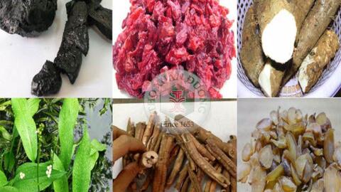 Thận khí hoàn – Bổ thận cường gân cốt