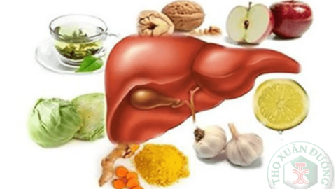 Thực phẩm tốt và xấu cho gan