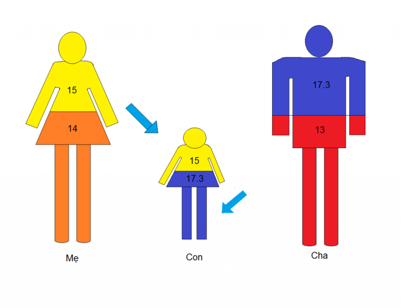 suc-khoe-sinh-san-cua-cha-me-la-bai-kiem-tra-di-truyen-cua-mot-dong-ho