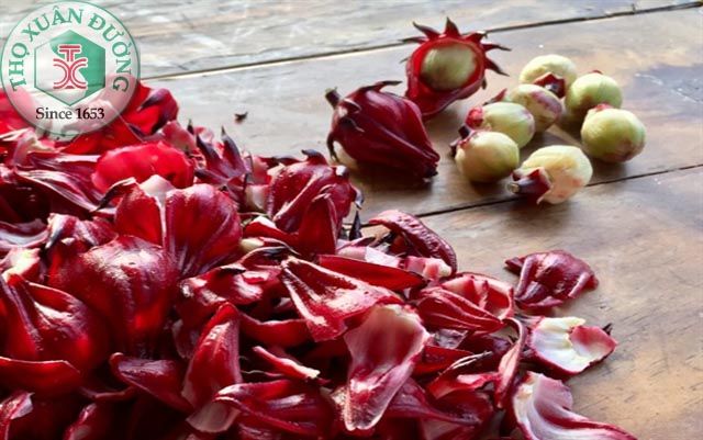 Công dụng của bụp giấm trong đông y