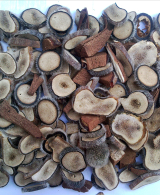 Đông y, dong y, tho xuan duong, nhung hươu, nhung huou