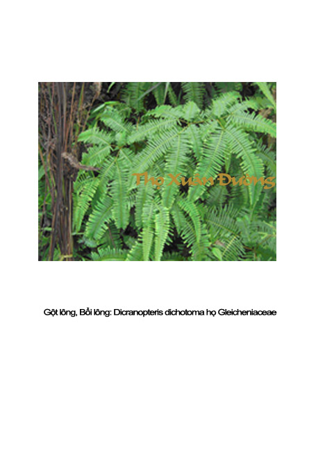 guot_copy.jpg guot_copy.jpg